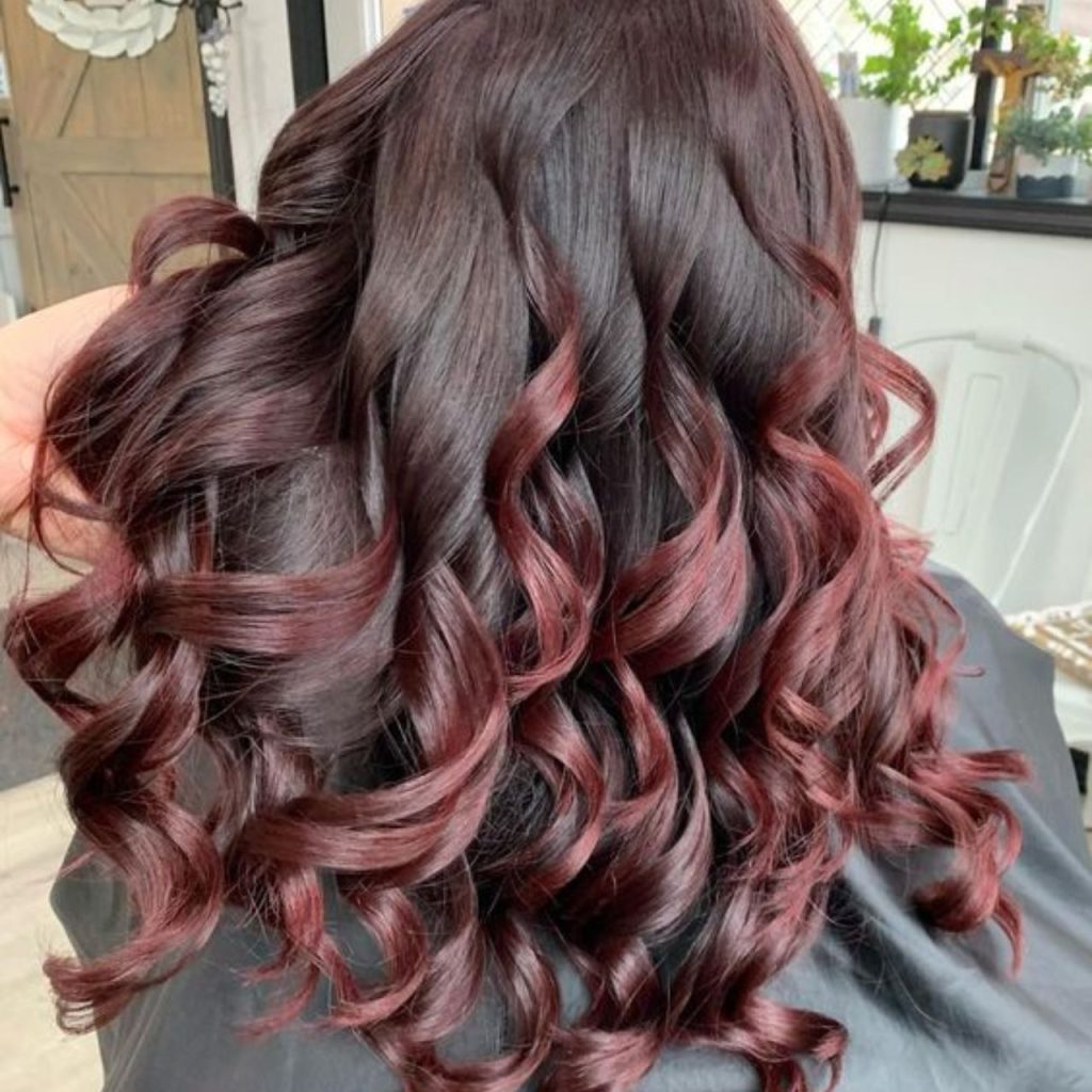 Cherry Brown Cola Hair Color