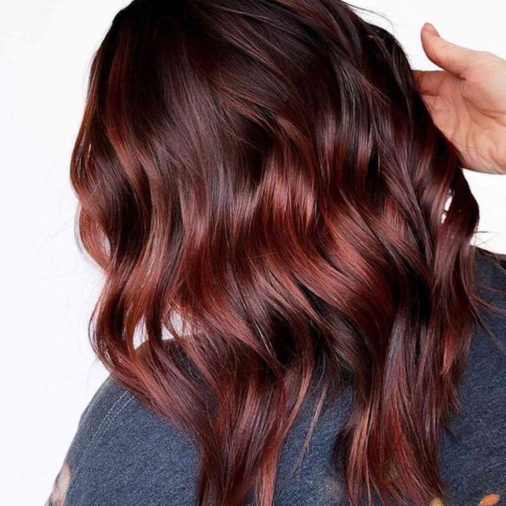 Cherry Brown Red Hair Color