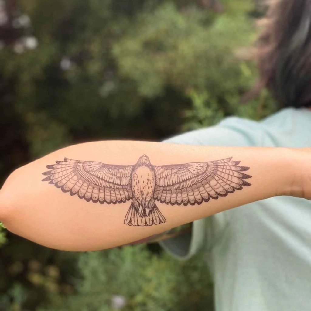 Eagle Bird Tattoo