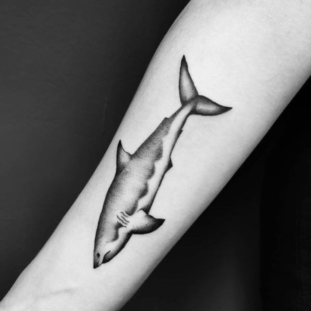 Great White Shark Tattoo Design