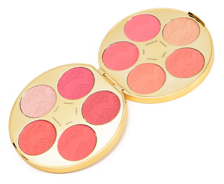 Blush Makeup Color Wheel