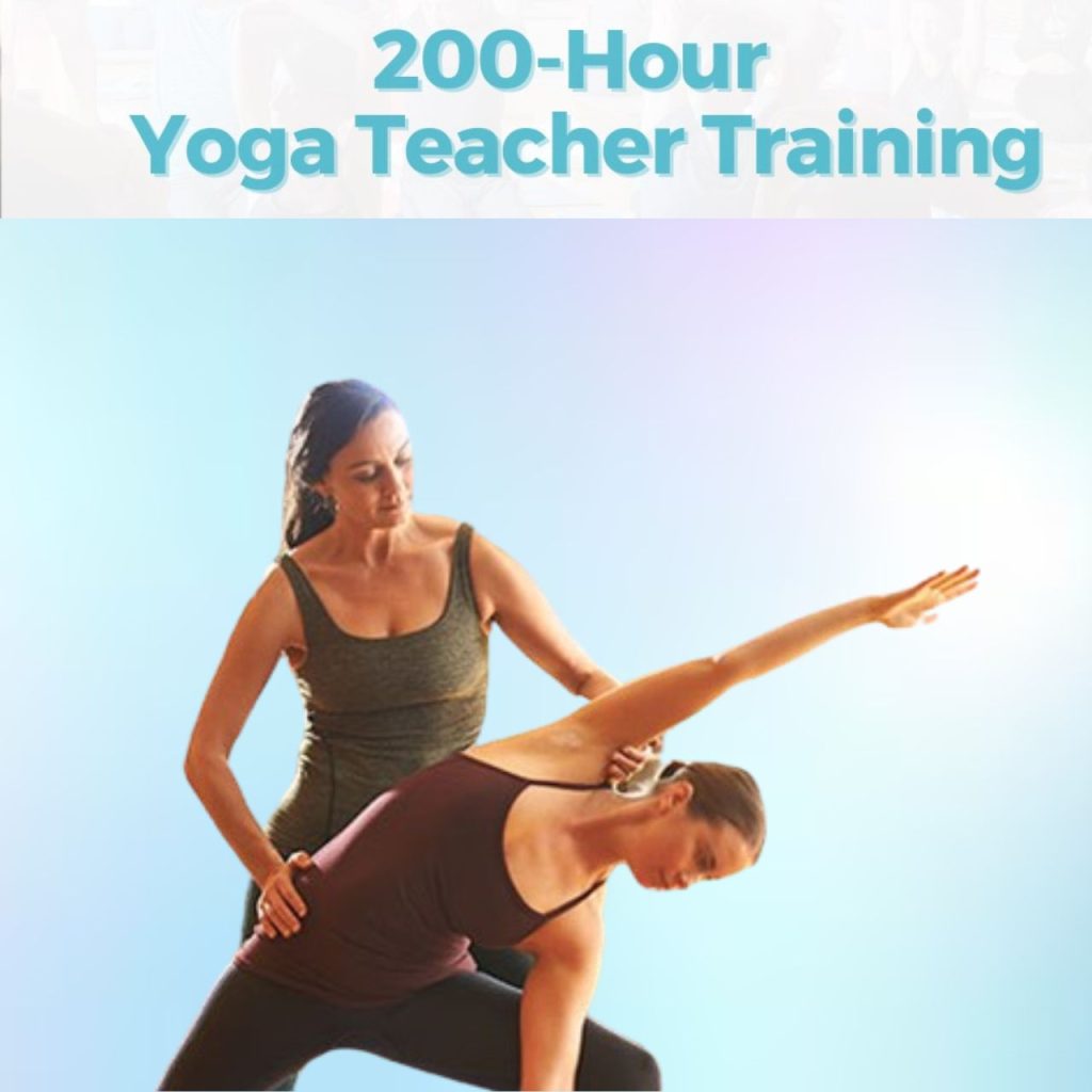 Preparation of 200  Hour Yoga Teacher Training