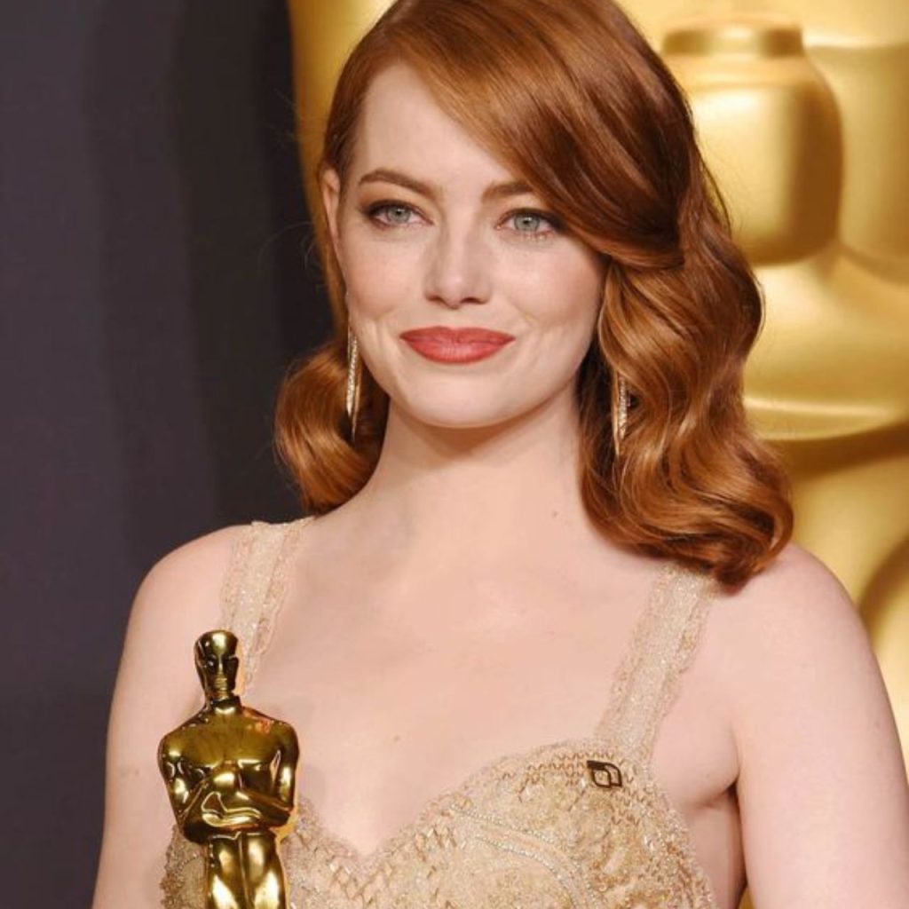 Emma Stone Brown Mascara Look in Red Carpet Event