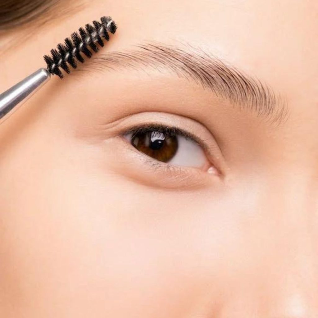 Guide For Eyebrow Shaper