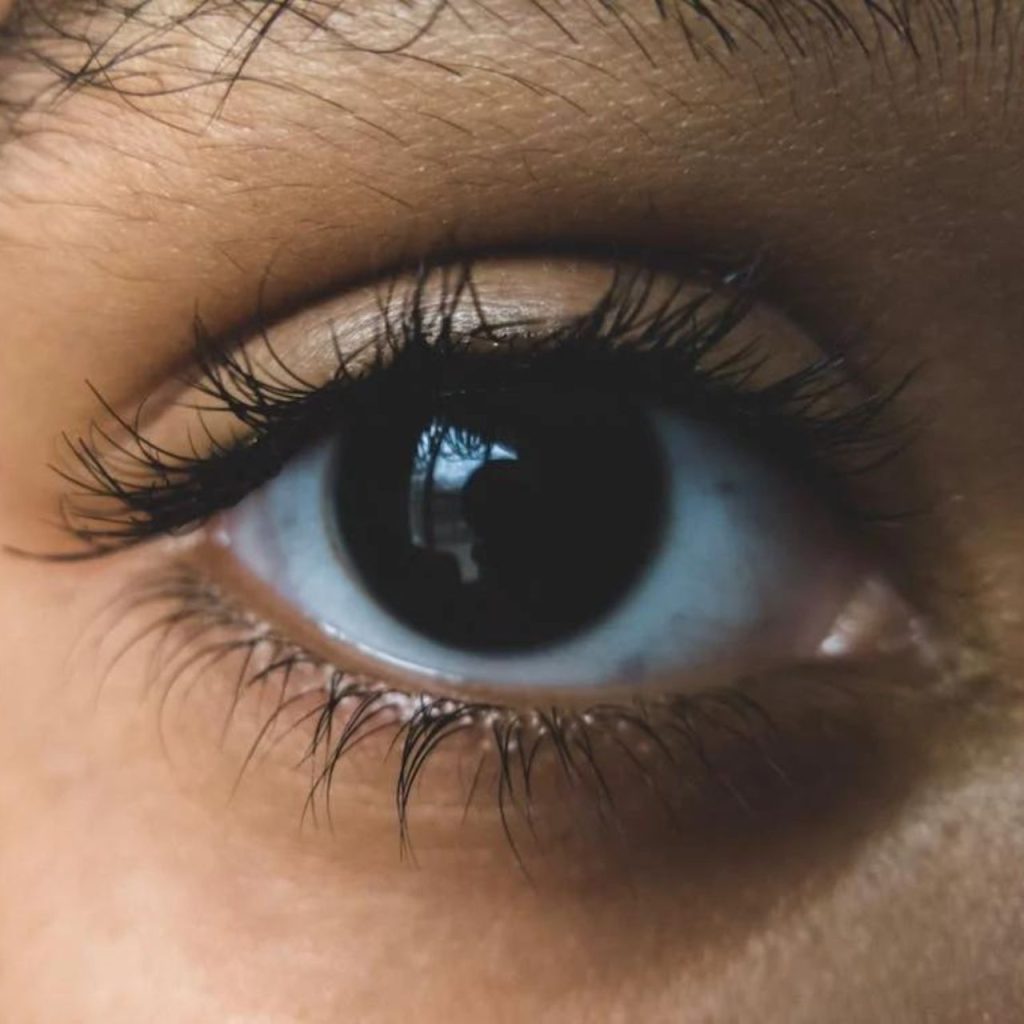 Facts about Eyelashes