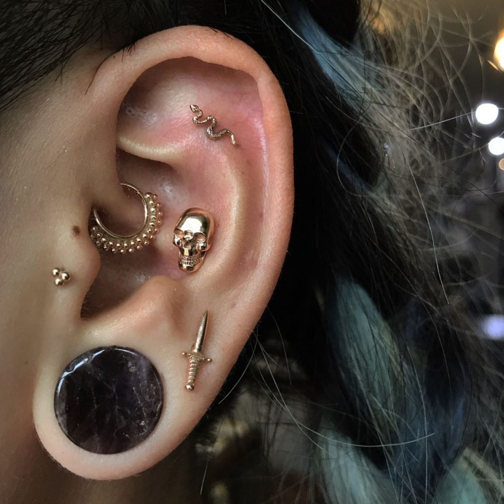 Skull Conch Piercings for Galm Look