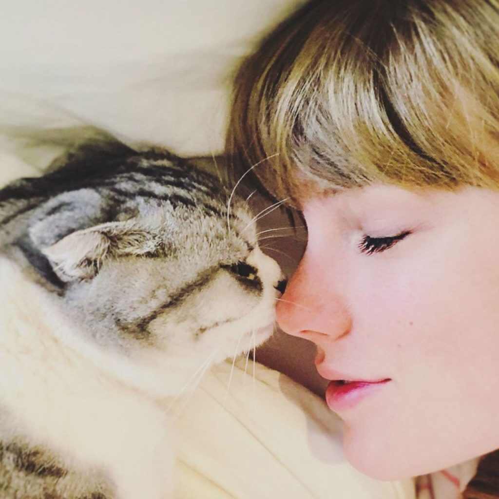 Taylor Swift No Makeup Look At home with her cat