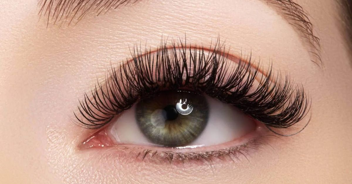 C Curl Lashes: Its Ultimate Guide 2024